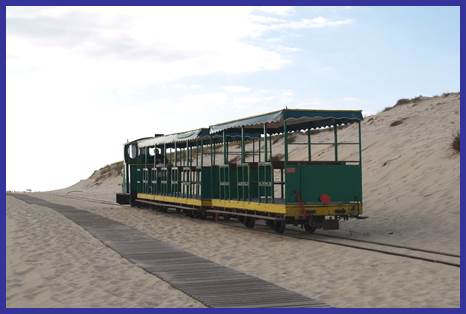 Description : train_cap_ferret.JPG