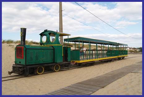 Description&nbsp;: Description&nbsp;: train_cap_ferret (2).JPG