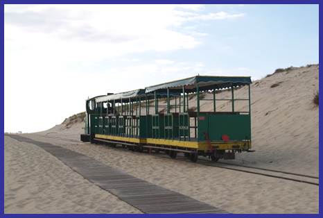 Description : Description : train_cap_ferret.JPG