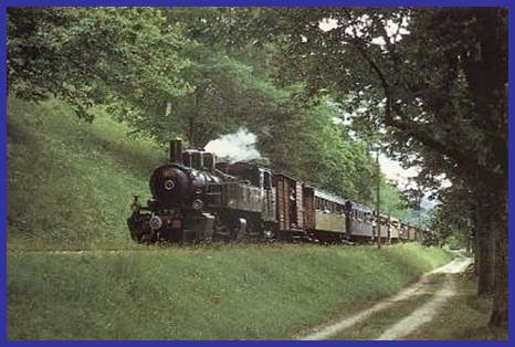 Description : t11