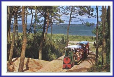 Description : Description : Description : Description : 06