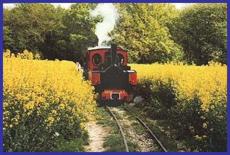 Description : 1
