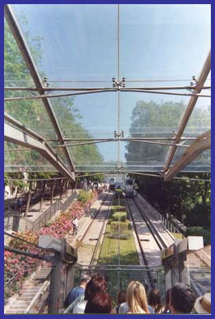 P005.jpg